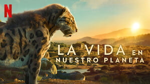 Documentales La verdad duele. Aunque a veces también motiva, asusta, apena, divierte o una mezcla de todo. Descubre cómo funciona el mundo con nuestras mejores series y películas documentales. 